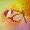 Butterfly Effect